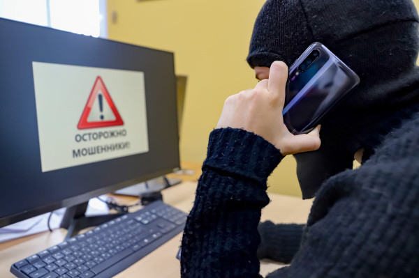 В Мурманской области снизилось число мошенничеств и IT-преступлений