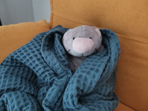 Соцсети: в Мурманске мёрзнут студенты колледжа