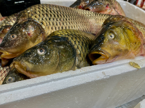 Суши с сюрпризом: чем может обернуться любовь к сырой рыбе?