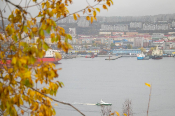 Анонсирован график личных приёмов депутатов Совета депутатов города Мурманска