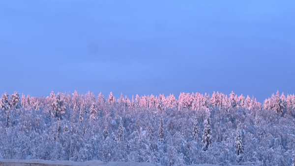 Над Кольским полуостровом скандинавский антициклон
