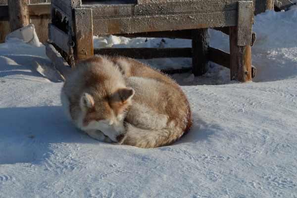 Скандинавские циклоны принесут на Кольский полуостров снег