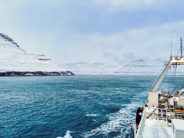 В «Русской Арктике» нашли светящиеся бактерии и, возможно, корабль Баренца