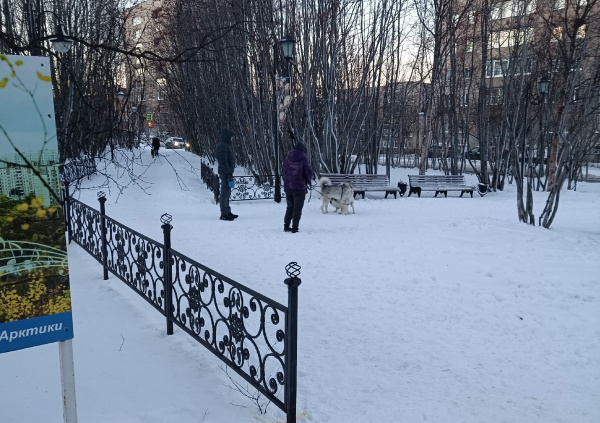 Северяне превратили аллею в Мурманске в собачий санузел