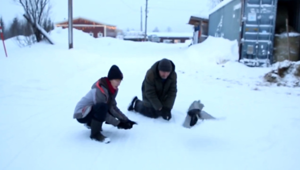 Вылеченных ворон в Хибинах уже отпустили в лес