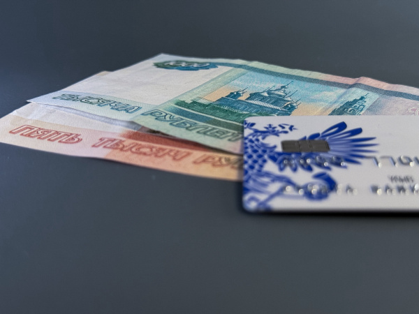 Жительницу Ковдора наказали за потраченные на отпуск целевые деньги