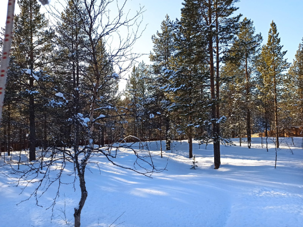 Ветреная и теплая погода в Мурманской области сохранится в ближайшие дни