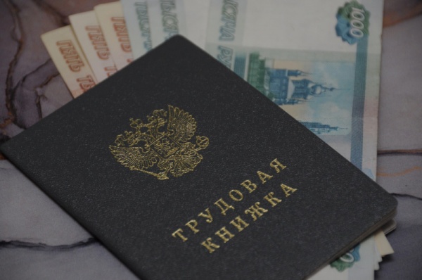 В Мурманской области в феврале средняя зарплата составила 101 961 рубль