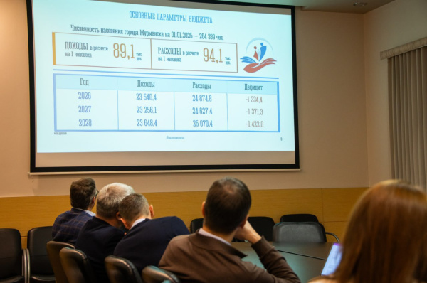 Депутаты рассмотрели проект бюджета Мурманска на 2026 год