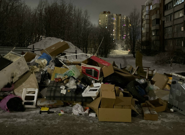 Что мешает «Ситиматику» вывозить мусор со дворов Мурманской области?