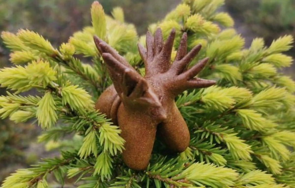 Жительница Мурманска сделала поморскую козулю и выиграла гран-при во всероссийском конкурсе