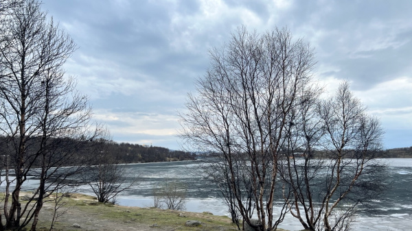 Над Кольским полуостровом теплые воздушные массы