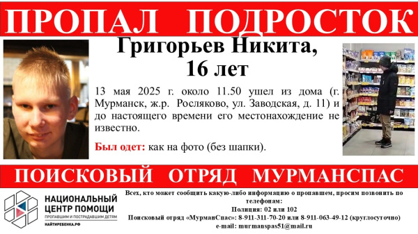 Добровольцы могут помочь в поиске пропавшего в Росляково мальчика