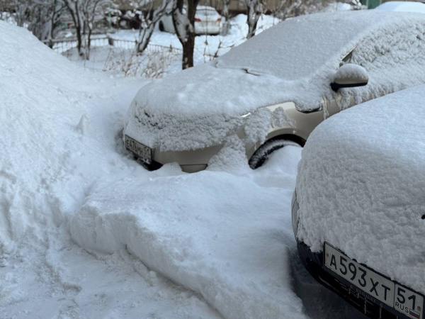 В Мурманске за день выпало 22% месячной нормы осадков: как это считали?