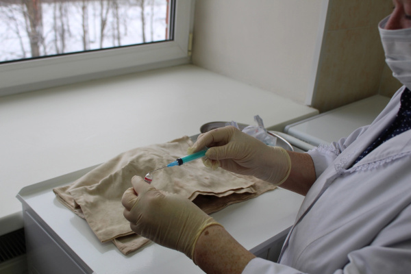 Краснуха: особенности заболевания и меры защиты