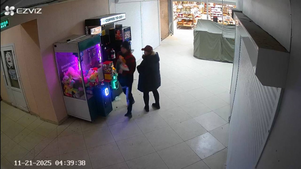 В Мончегорске местный «Гринч» похитил ёлку из «Пятёрочки»