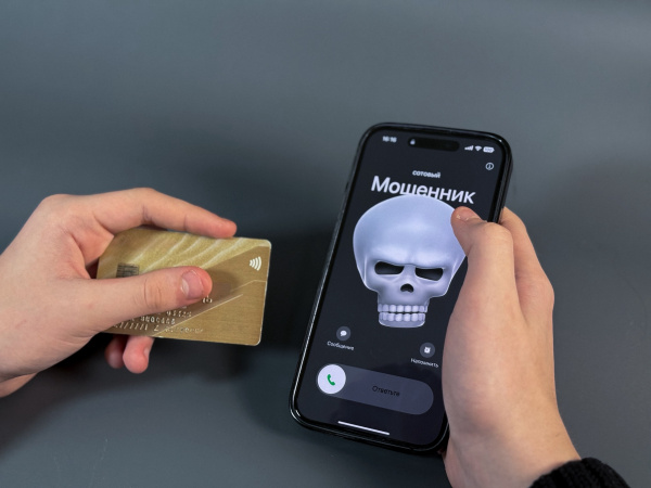  Как не попасться на уловки мошенников, напомнили в УФСБ по Мурманской области 