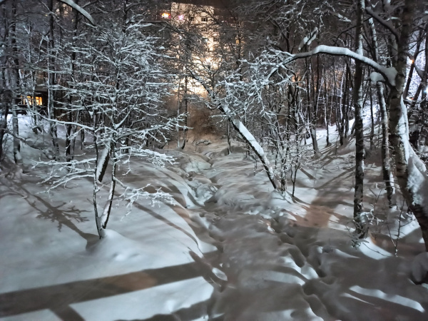 Температура воздуха в Мурманской области будет повышаться