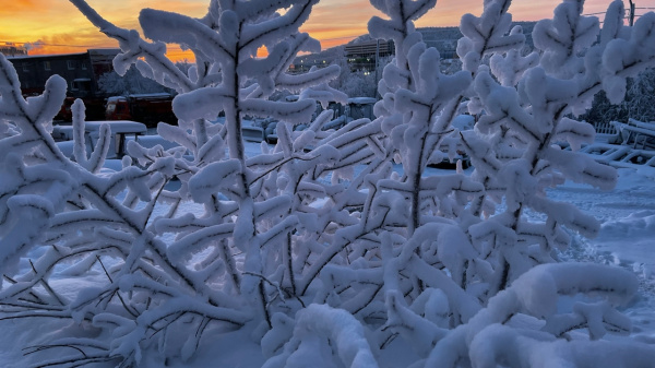 В Мурманской области температура воздуха понизится до сильных морозов
