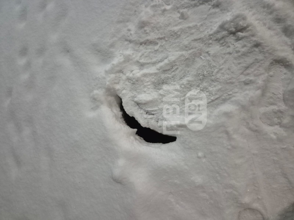 Жителей Мурманска предупреждают о ловушке для пешеходов