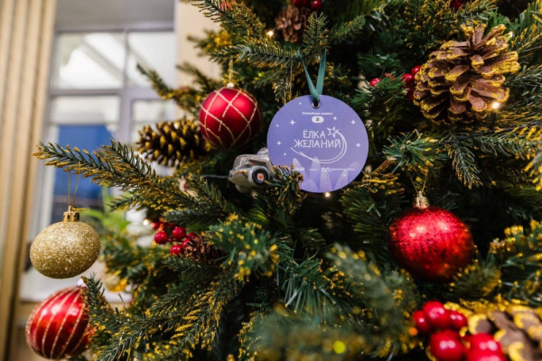 В Мурманске началось исполнение детских мечт в рамках акции «Ёлка желаний»