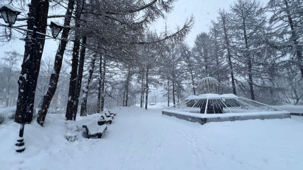 Погоду в Мурманской области в выходные будут формировать циклон и антициклон