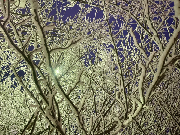 В Заполярье облачно с прояснениями