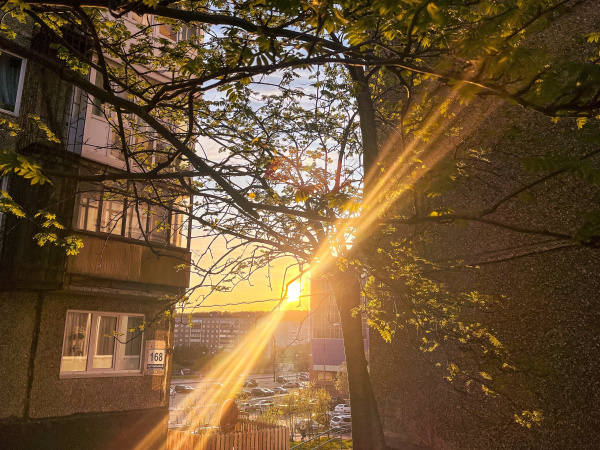 Житель города Полярные Зори обвинил в ДТП солнечные лучи