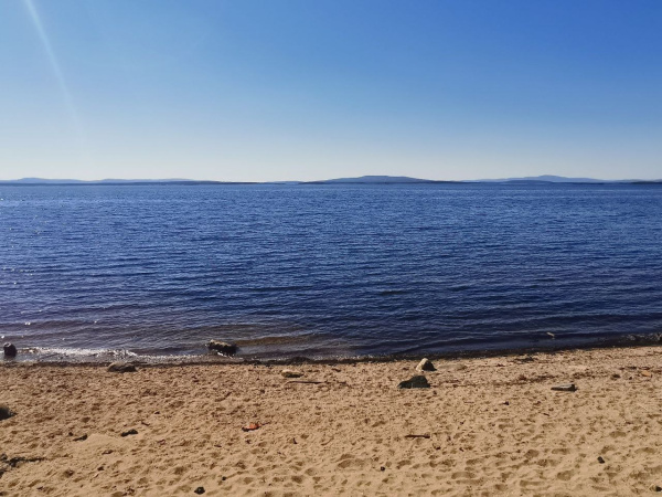 Учёные оценили состояние промысловых водорослей в акватории Белого моря