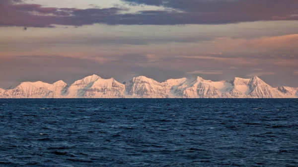 Ученые нашли на Шпицбергене нехарактерные лишайники