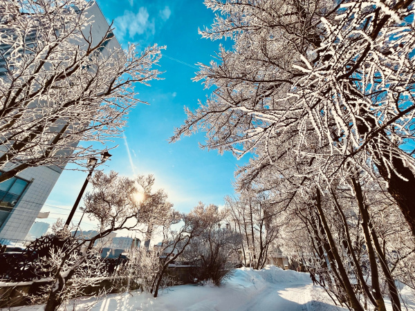 В Мурманске объявлен конкурс на создание городского гимна