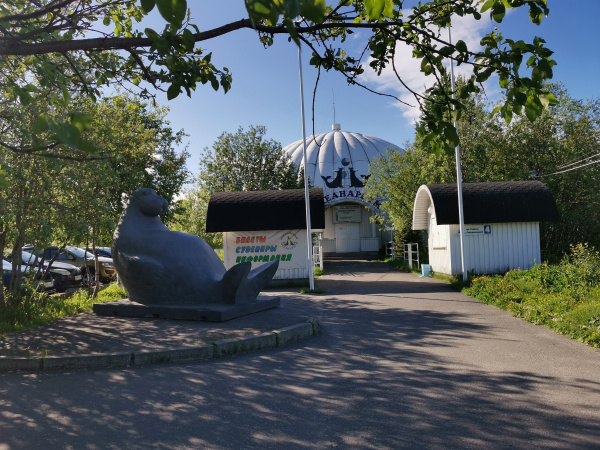 Тюлень Филя из Мурманского океанариума отметил 38-й день рождения