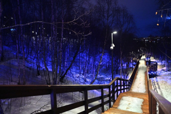 «Чистый ручей» засиял к праздникам: в зоне отдыха включили новогоднюю подсветку