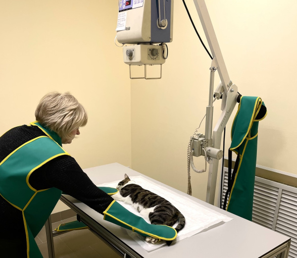 Печенгская ветеринарная станция купила цифровой рентген 