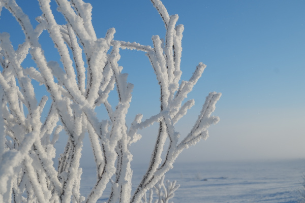Ноябрь в Мурманской области завершается оттепелью