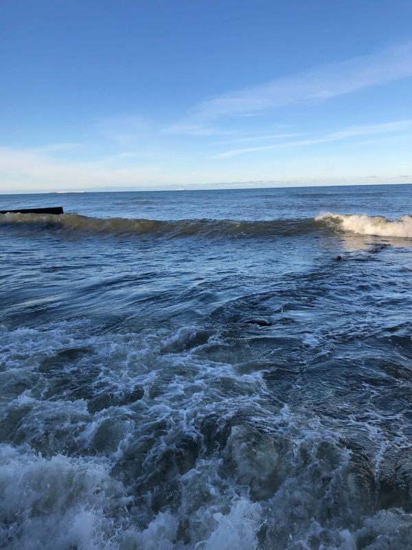 До +10 градусов потеплеет в Мурманской области