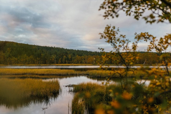 Мурманская область усиливает готовность к паводкам и пожароопасному сезону