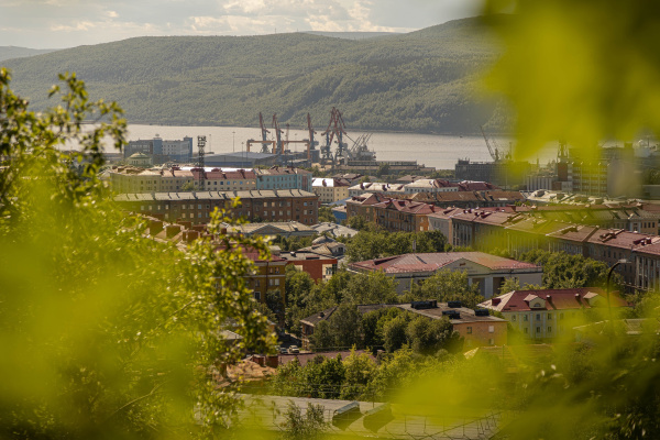 В Мурманской области выявлены десятки нарушений при продаже семян