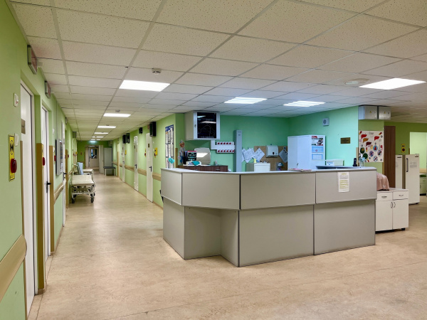 Госслужащих Мурманской области обяжут пройти диспансеризацию до конца сентября