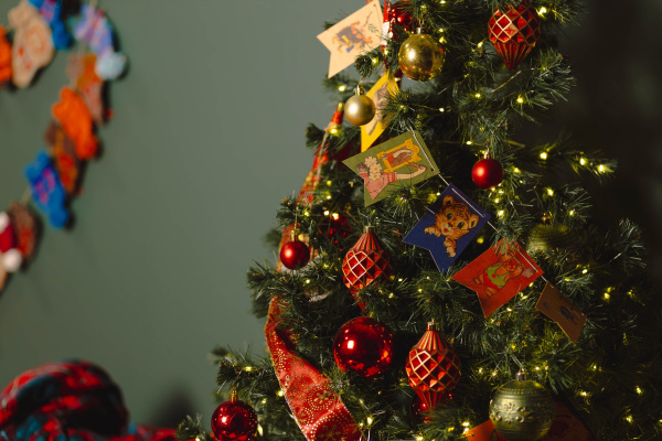 «Пусть Рождество принесёт радость и благополучие»: Игорь Морарь поздравил мурманчан с Рождеством