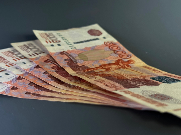  Лишённая родительских прав жительница Мончегорска незаконно получала детские пособия