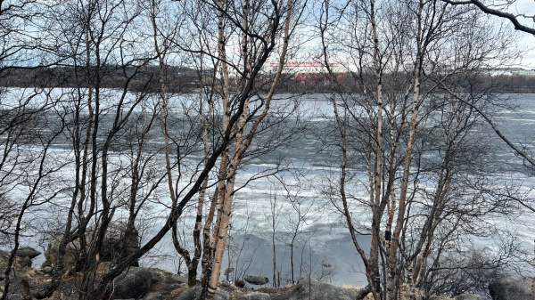 В Заполярье будет облачно